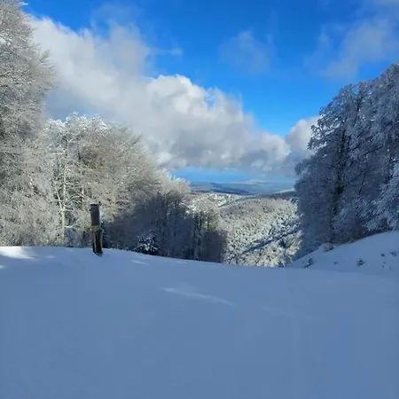 Ammari. - Bilocale. Apartment Gallico