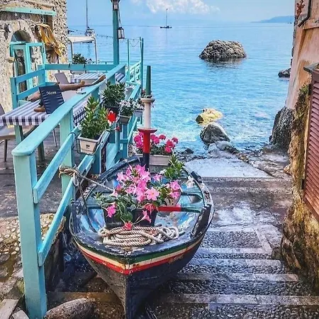 Apartment Ammari. - Bilocale. Gallico