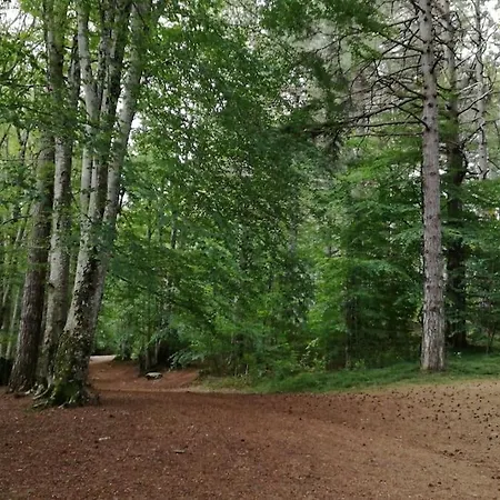 Ammari. - Bilocale. Apartment Gallico