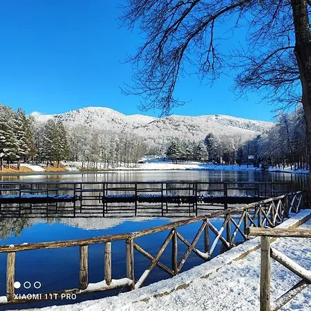 Apartment Ammari. - Bilocale. *