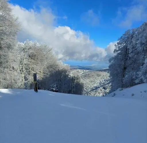 Ammari. - Bilocale. Διαμέρισμα Gallico