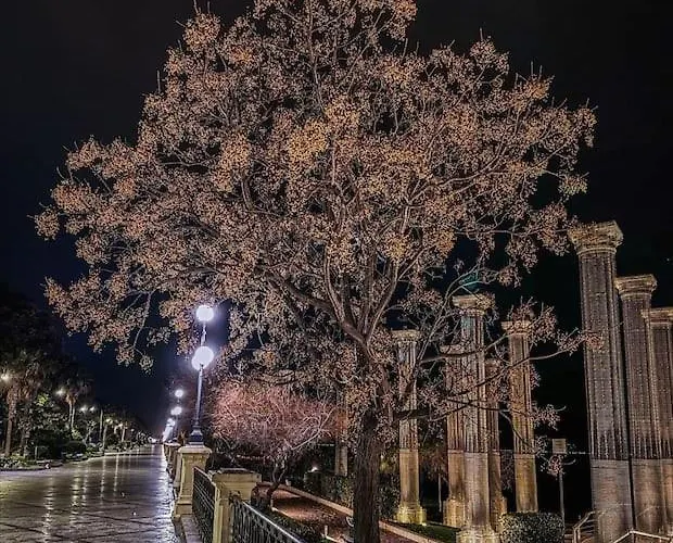 公寓 Ammari. - Bilocale. *