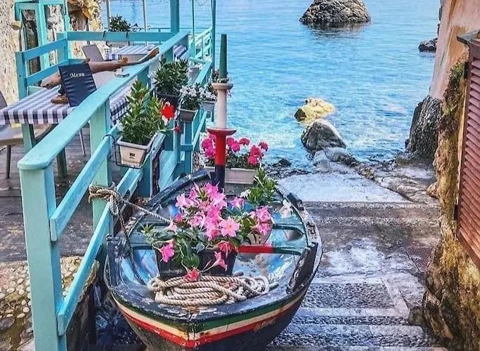 公寓 Ammari. - Bilocale. Gallico