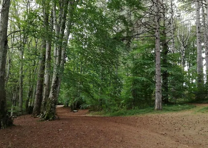 Ammari. - Bilocale. Διαμέρισμα Gallico